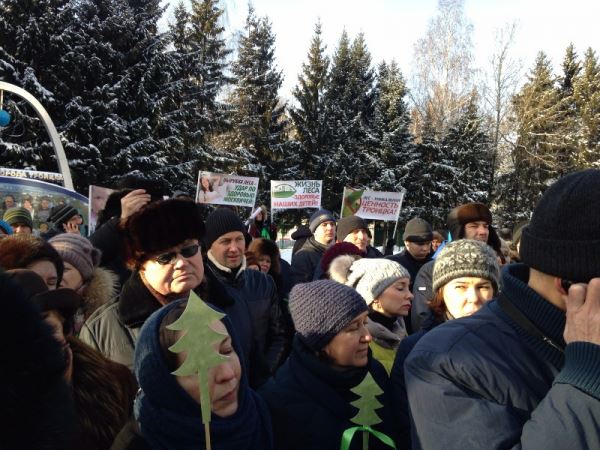 Троицкий лес: экозащитники собрались за круглым столом