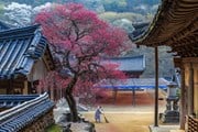 Туристы снова смогут посещать Южную Корею без виз