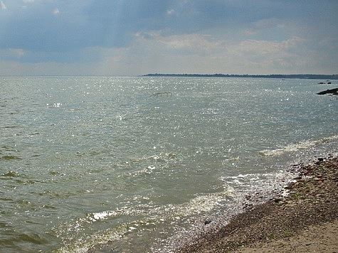 В Таганрогском заливе снижается соленость воды