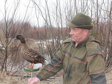 Ярославская область контролирует охотничьи угодья с охотниками